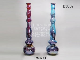 B3007